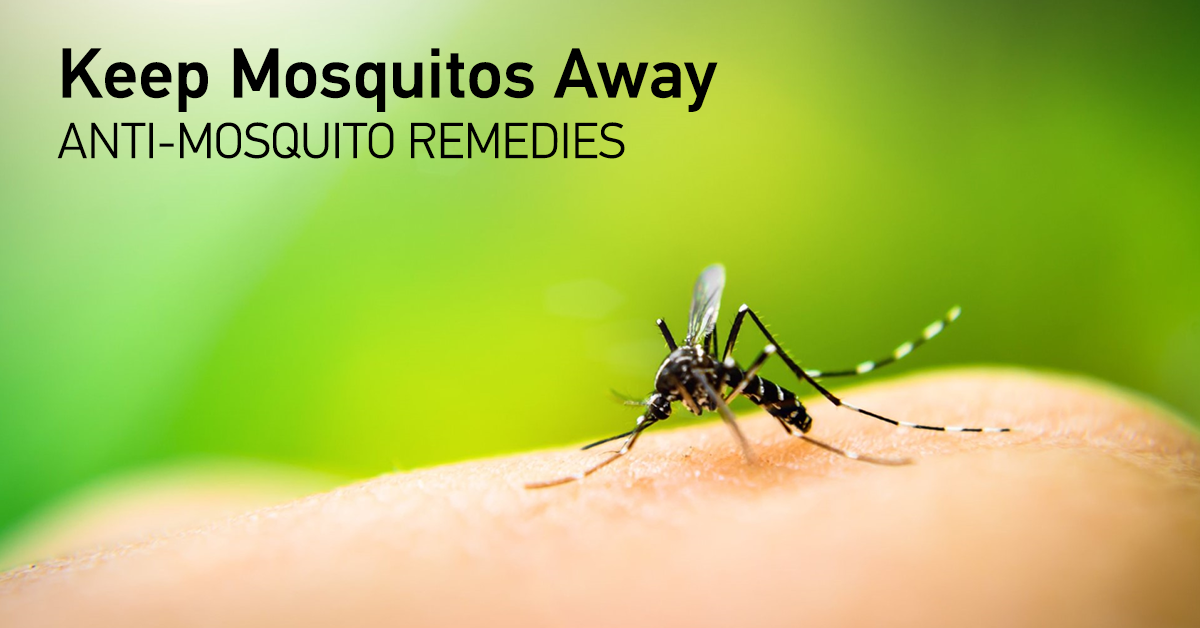 anti-mosquito-remedies