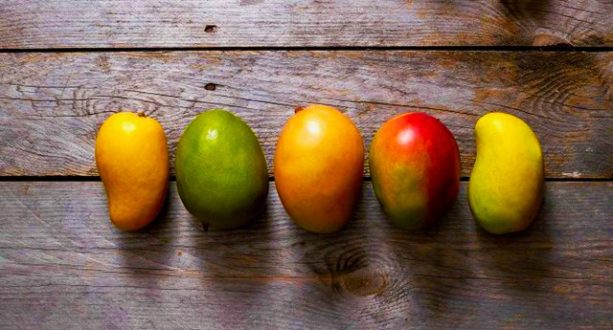 colors of mango bikroy bn