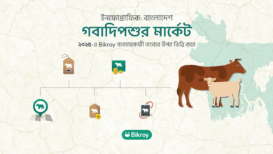 Photo of ২০২৫-এর কোরবানির পশুর অনলাইন বাজার: Bikroy-এর ডাটা ভিত্তিক বিশ্লেষণ