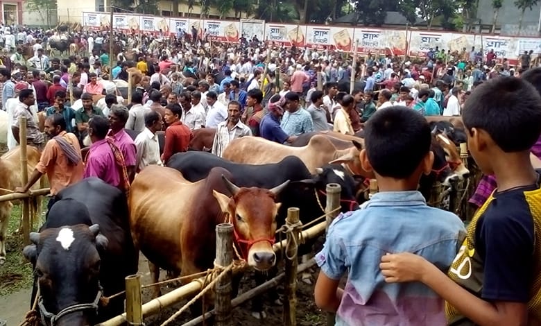 অনলাইনে কোরবানির পশু ২০২৫