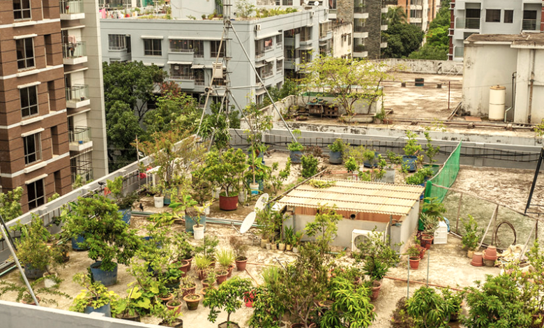 ছোট ফ্ল্যাটে সৃজনশীল শখ