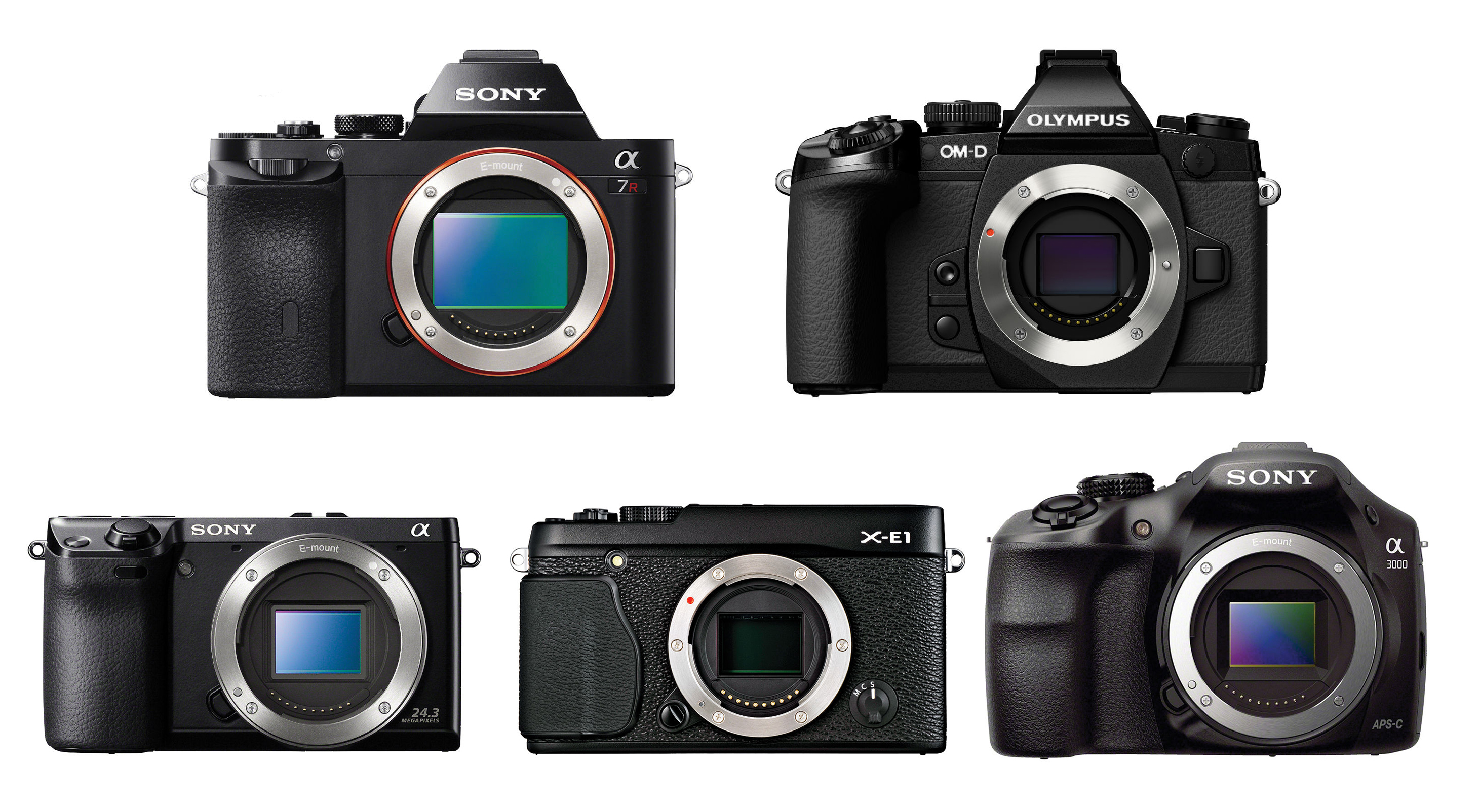 Photo of Your Guide to Mirrorless Cameras