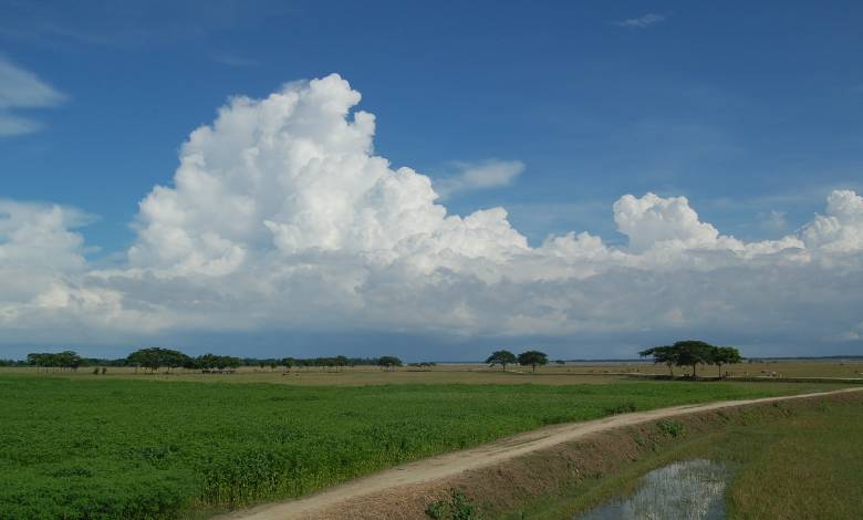 land in bangladesh