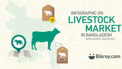 Photo of Livestock Market of Bangladesh 2019 | Infographic