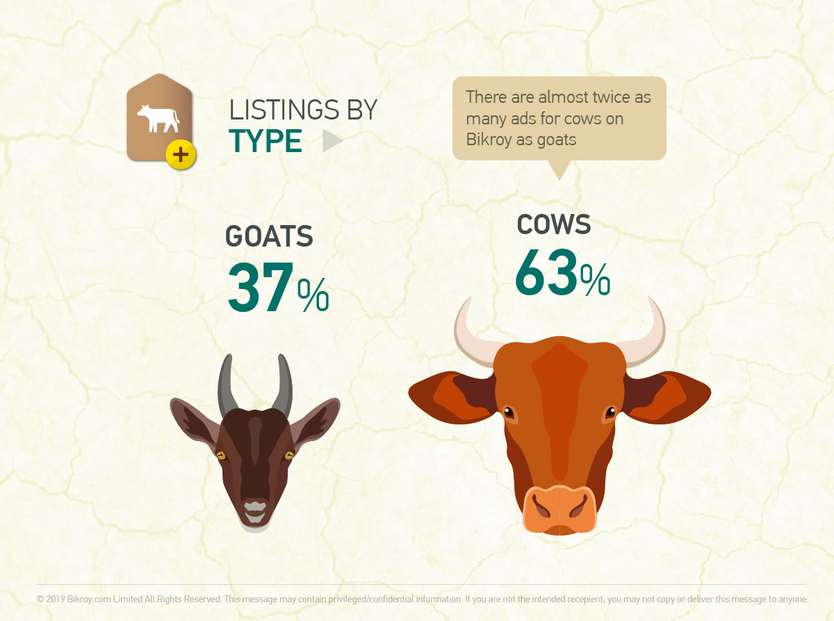 Listings by Animal Type