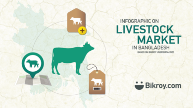 Photo of Livestock Market in Bangladesh 2022 | Infographics