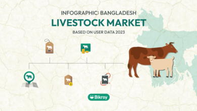 Photo of 2023 Infographic: Livestock Market in Bangladesh