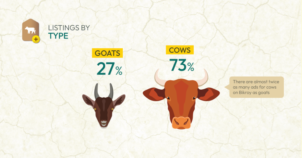 Popular Livestock for Qurbani