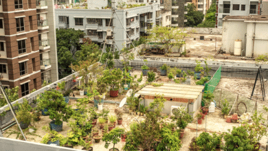 Photo of Top 5 Indoor Hobbies to Try in Dhaka Apartments