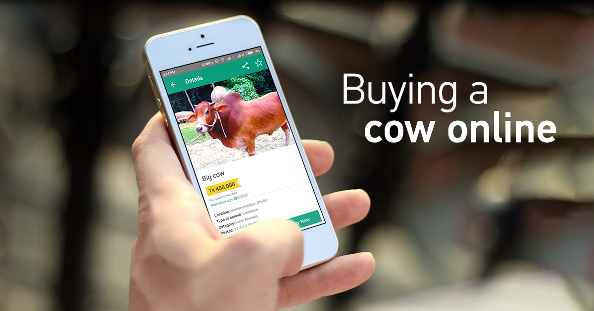 Tips on buying a cow online